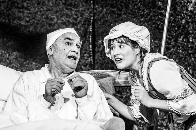 Der eingebildete Kranke (20) 